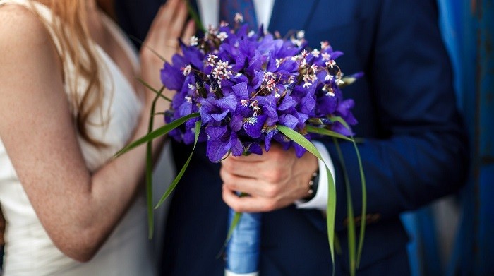 Ирисы