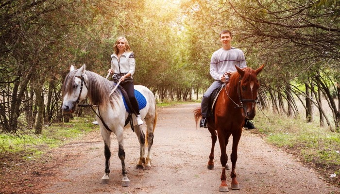 Что подарить на ситцевую свадьбу