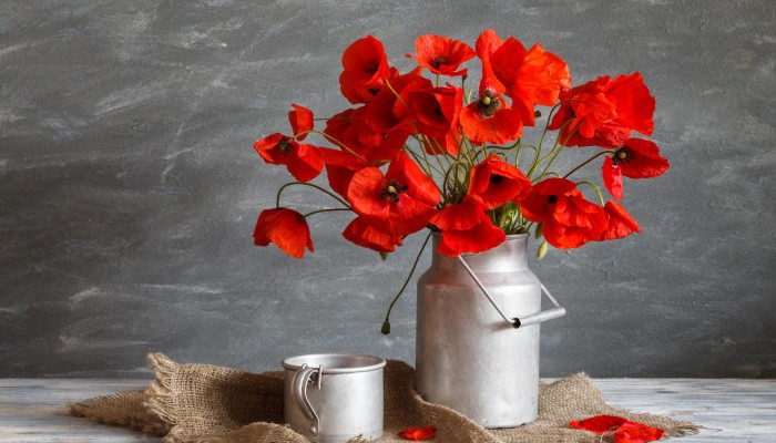 Какие цветы подарить девушке
