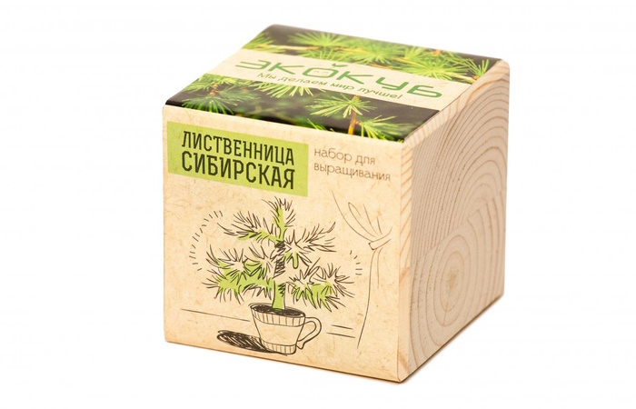 Что подарить папе на день рождения