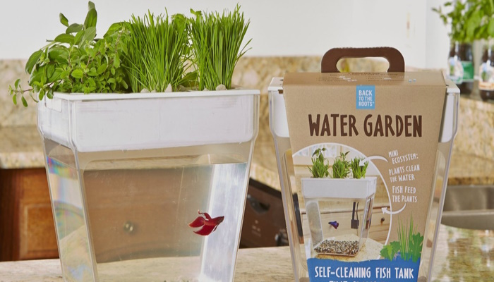 акваферма