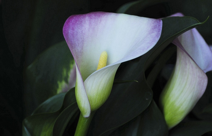 Что подарить малознакомому мужчине на день рождения